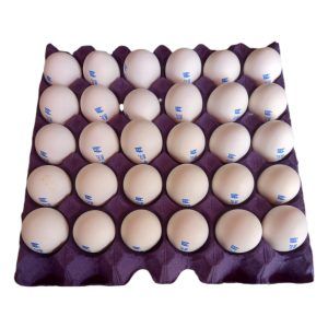 Cono de Huevos San Juan 30pzs